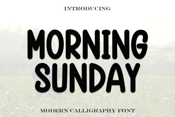 Morningsunday Font Review: A Cozy Display Typeface for Makers