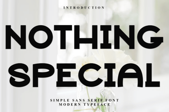 Nothing Special Font Review: A Unique Display Choice